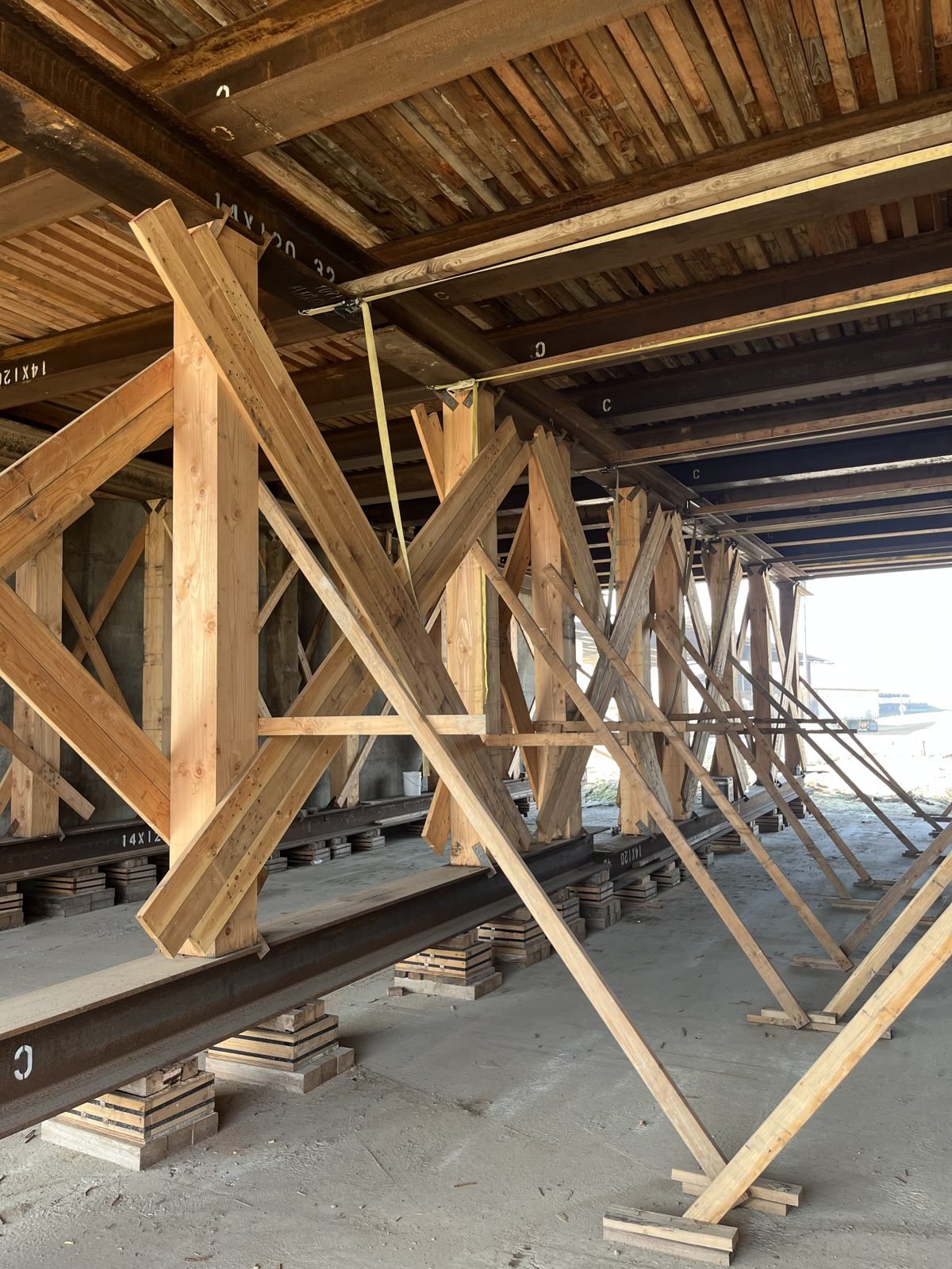 Timber falsework bents under a bridge deck